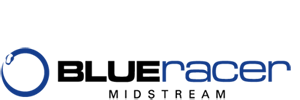 Blue Racer Logo